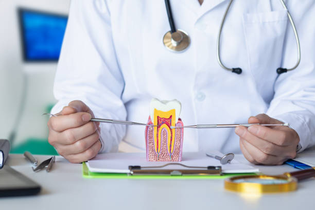 Best Pediatric Emergency Dentist in Marlboro Meadows, MD